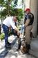 Entrega de viaturas e cães policiais para o BPRv
