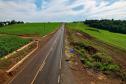 Obra de pavimentação da estrada entre Ramilândia e Santa Helena