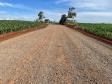 Obra de pavimentação da estrada entre Ramilândia e Santa Helena