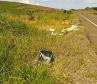 Lixo descartado na faixa de domínio de rodovias estaduais