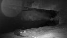 Lontra longicaudis