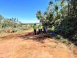 Equipes do DER/PR atuam nas rodovias estaduais após tornados