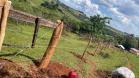 PR-239 pavimentação entre Mato Rico e Roncador - colocação de cercas