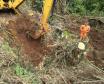 PR-460 e PRC-487 whitetopping Pitanga Nova Tebas - terraplenagem