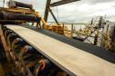 O Porto de Paranaguá registrou nova movimentação recorde. Desta vez, no embarque de açúcar a granel pelo berço 204. Um único navio - o Caravos Glory, das Ilhas Marschall (Oceania) - levará uma carga de 58.175 toneladas para o Oriente Médio. A média dos carregamentos no local geralmente fica entre 40 e 45 mil toneladas.  -  Paranaguá, 03/06/2019  -  Foto: Cláudio Neves/APPA