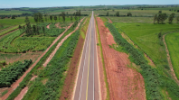 Estrada Boiadeira
