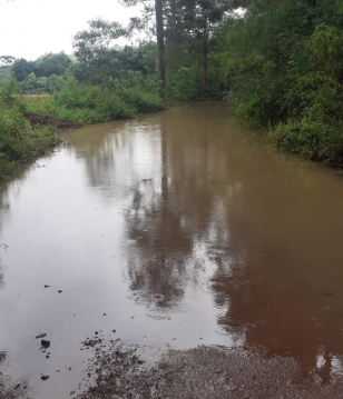 PR-459 entre Clevelândia e Mangueirinha