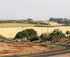 Serviços de conservação do pavimento em rodovias estaduais