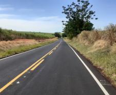 Rodovia PR-461, após serviços de conservação