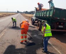 Serviços emergenciais na PR-239 entre Assis e Toledo