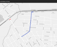Sugestão de desvio para usuários da Av. Pedro Carli