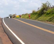 Serviços na PR-170 entre Apucarana e Borrazópolis