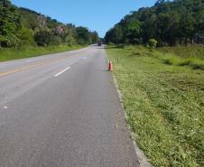 Roçada no lote 01