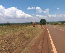 Roçada no lote 05