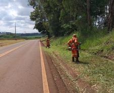 Roçada no lote 05