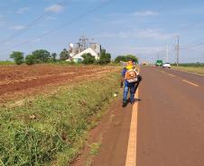 Roçada no lote 05