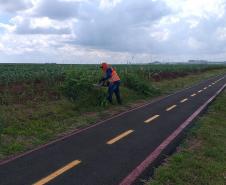 Roçada no lote 05