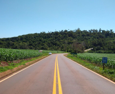 Serviços do PROSEG PARANÁ na PR-317 em Ouro Verde do Oeste