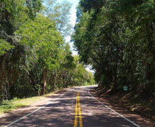 Serviços do PROSEG PARANÁ na PR-317 em São Clemente, distrito de Santa Helena