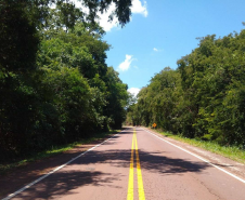 Serviços do PROSEG PARANÁ na PR-317 em São Clemente, distrito de Santa Helena