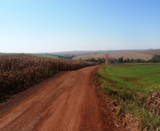 PR-239, entre Toledo e Assis Chateaubriand