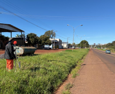 PR-317, trabalho de campo do projeto