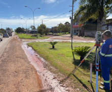 PR-317, trabalho de campo do projeto
