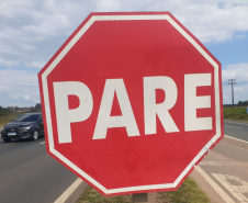 Conservação faixa de domínio PR-151