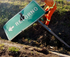 Conservação faixa de domínio PR-151