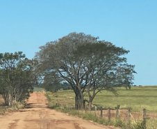 Serviços na PR-478 em Loanda
