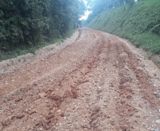 PR-513 compactação de leito escarificado