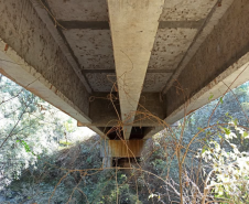 Ponte Rio Jararaca PR-446