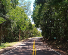 Rodovia com árvores na região Oeste