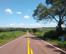 Rodovia com árvores na região Oeste