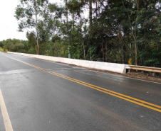 Ponte Rio das Perdizes