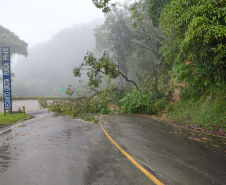 Estrada da Graciosa (PR-410)