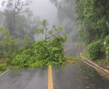 Estrada da Graciosa (PR-410)