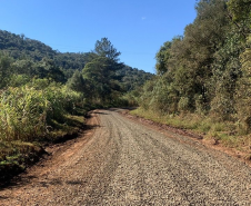 PR-446, entre Porto Vitória e Santo Antônio do Iratim, distrito de Bituruna