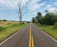 PR-556 São João do Caiuá a Santo Antônio do Caiuá