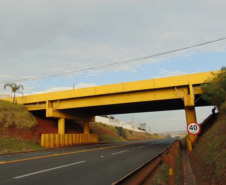 Viaduto km 0,19 PR-444