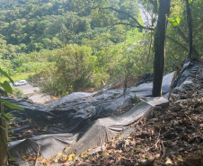 Serviços emergenciais na BR-277