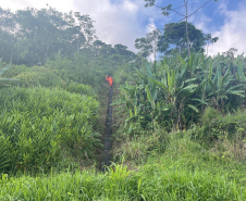 Serviços emergenciais na BR-277
