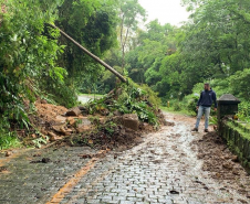 Escorregamentos de terra na Estrada da Graciosa