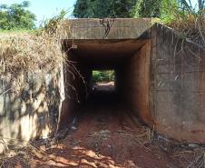 Passa Gado km 243,94 PR-323 em Tapejara