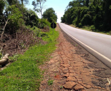 PR-489 entre Umuarama e Xambrê
