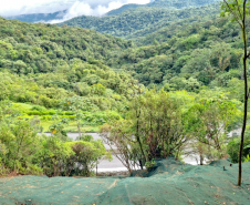 BR-277 serviços de contenção no km 39