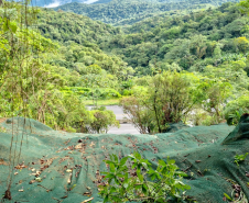 BR-277 serviços de contenção no km 39