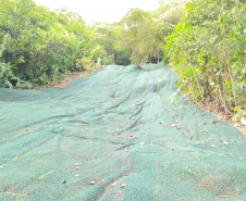 BR-277 serviços de contenção no km 39