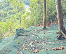 BR-277 serviços de contenção no km 39