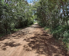 Estrada para o distrito de Congonhas km 6,3